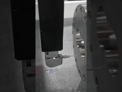 Extrudere a doppia vite a canna in acciaio inossidabile per alimenti gonfiati